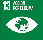 13 Acción por el clima